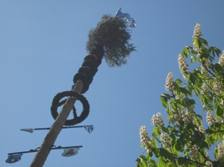 Maibaum